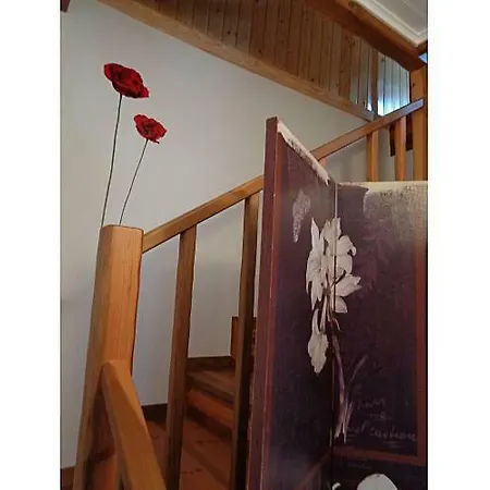 Prázdninový dům Pia Da Ovelha House Reguengo do Fetal
