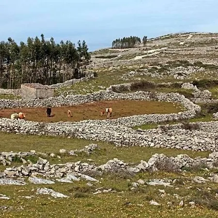 Pia Da Ovelha House Prázdninový dům *